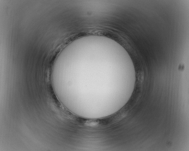X0000111580602200907161158