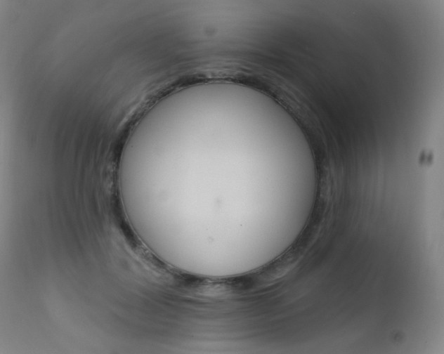 X0000111580604200907161158