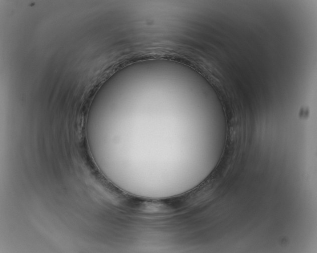 X0000111580605200907161158