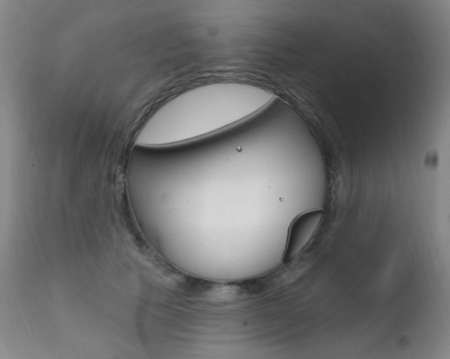 X0000111580609200907161157