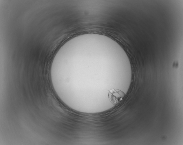 X0000111580611200907161157