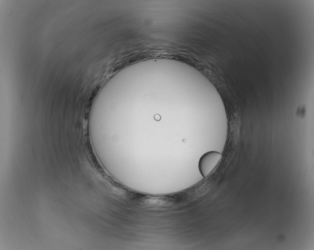 X0000111580614200907161157