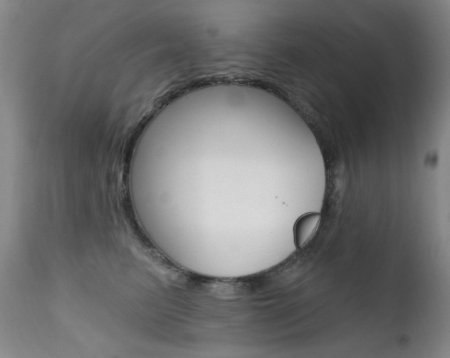 X0000111580615200907161157