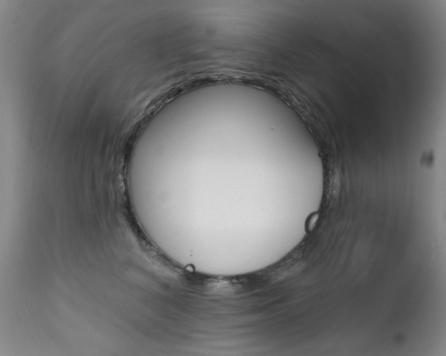 X0000111580616200907161157