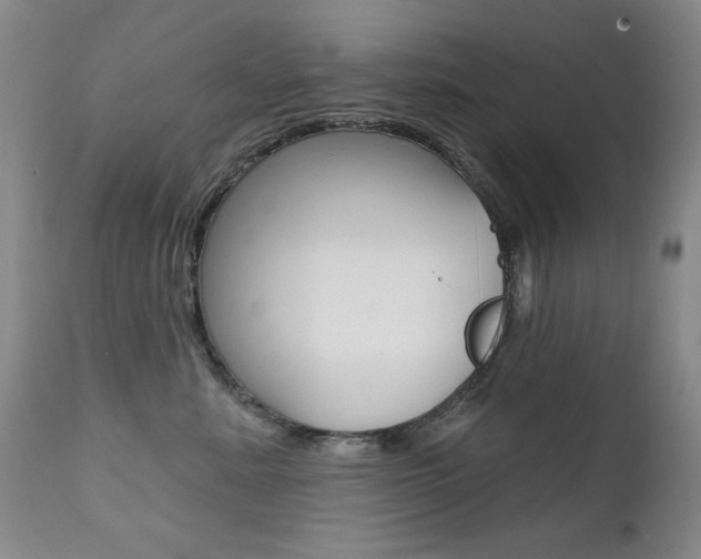 X0000111580619200907161157