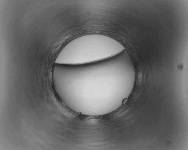 X0000111580620200907161157