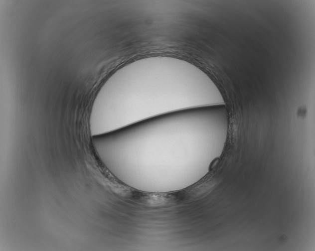 X0000111580623200907161157