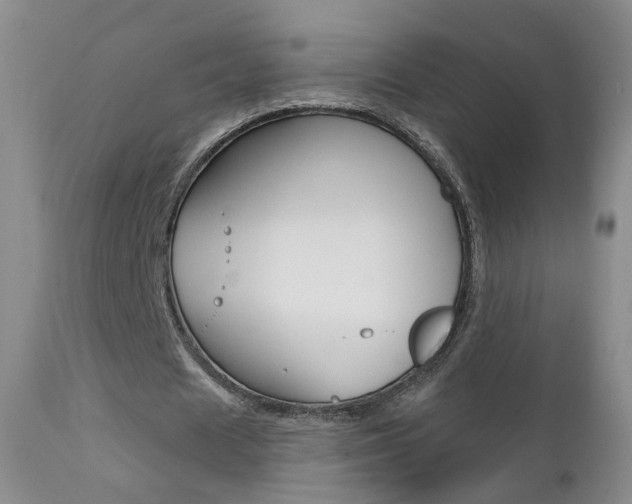 X0000111580625200907161156