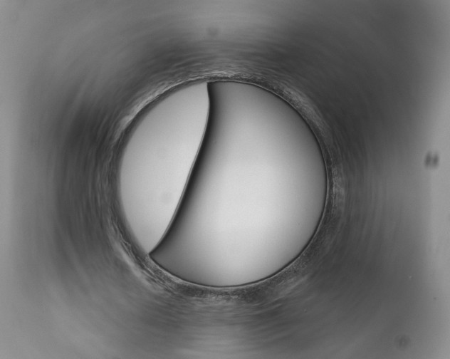 X0000111580626200907161156