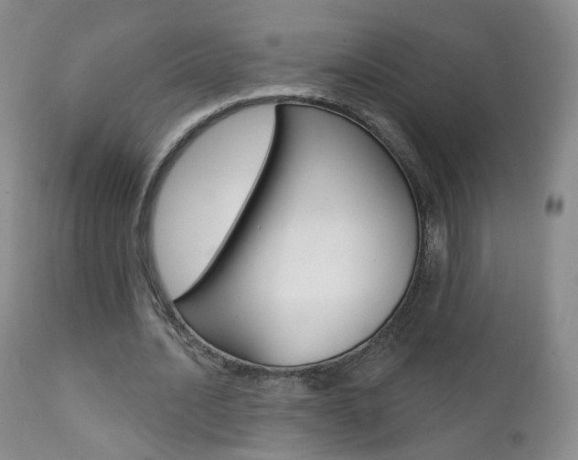 X0000111580628200907161156