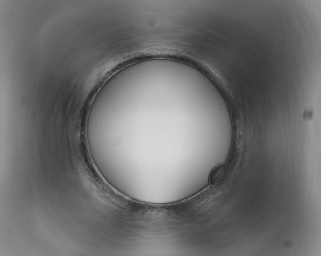 X0000111580631200907161156