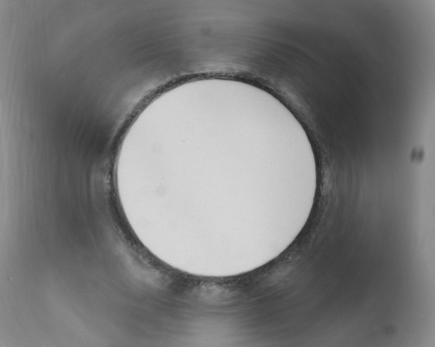 X0000111580632200907161156
