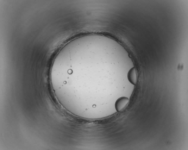 X0000111580635200907161156