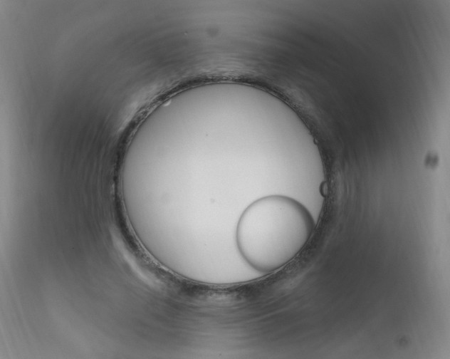 X0000111580638200907161156