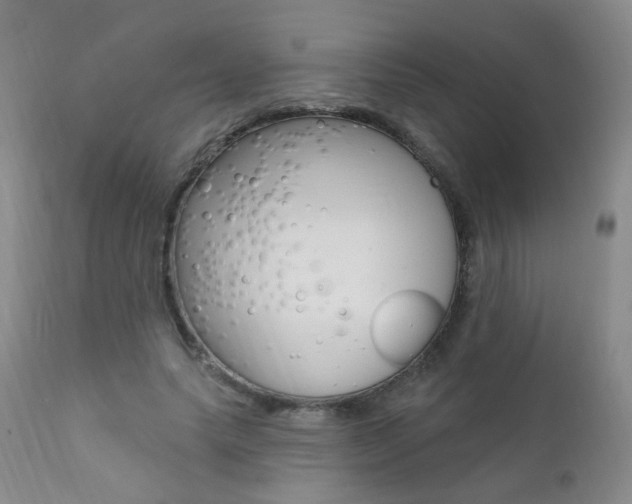 X0000111580639200907161156