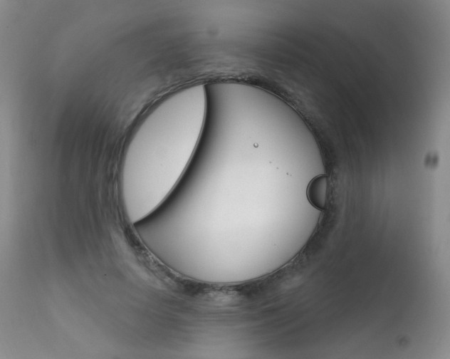 X0000111580642200907161157