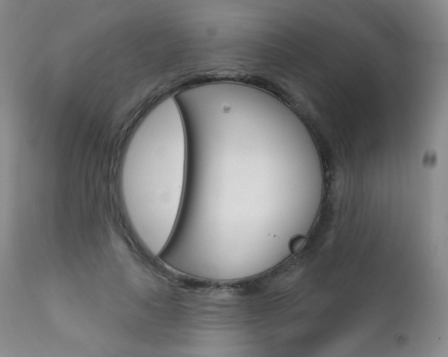 X0000111580643200907161157