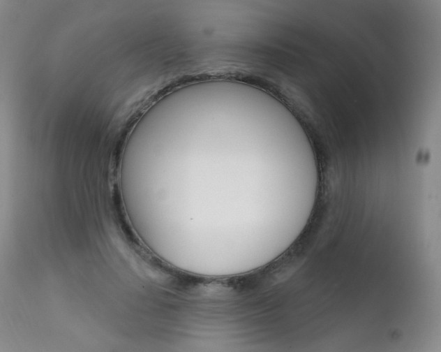 X0000111580644200907161157