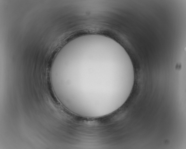 X0000111580645200907161157