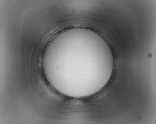 X0000111580648200907161157