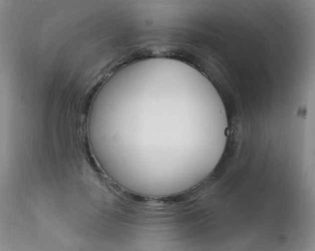 X0000111580650200907161157