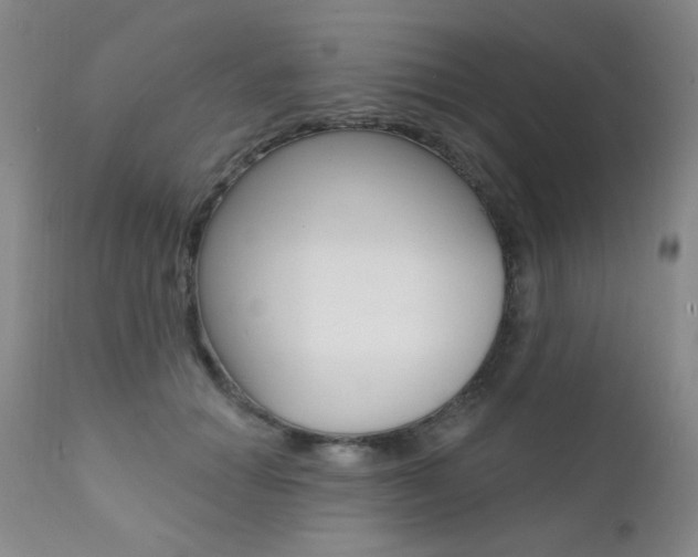 X0000111580654200907161157