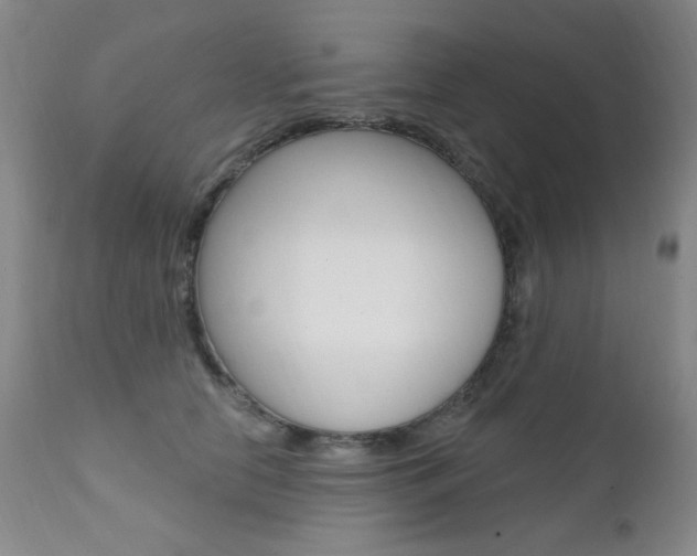 X0000111580658200907161157