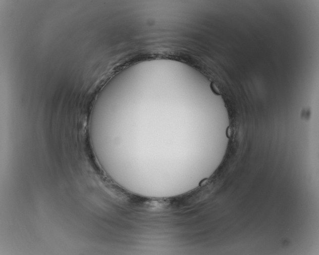 X0000111580660200907161157