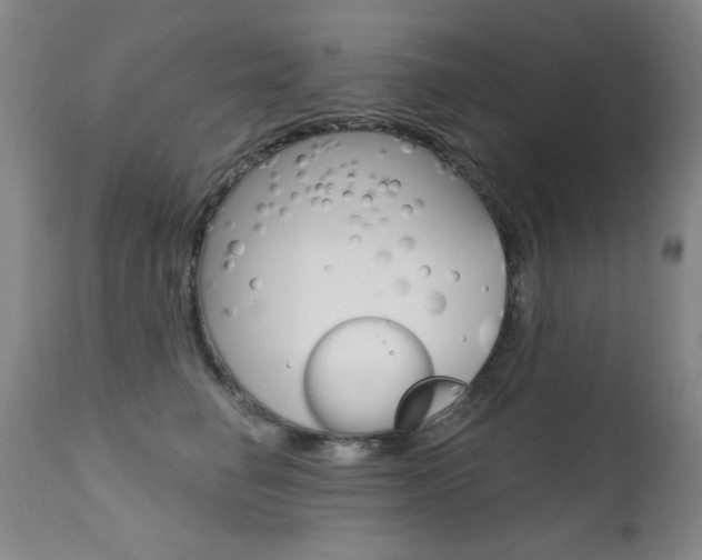 X0000111580662200907161157