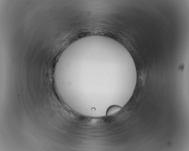 X0000111580663200907161157