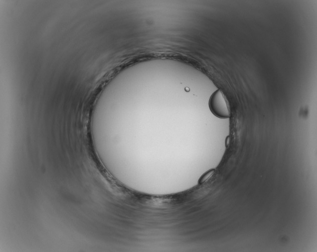 X0000111580664200907161157
