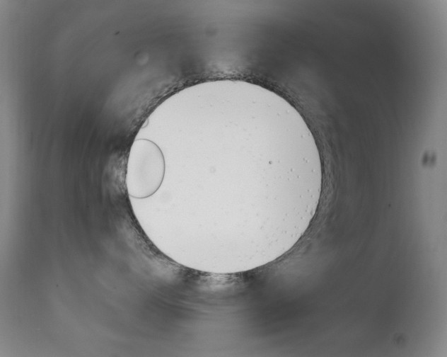 X0000111580672200907161157