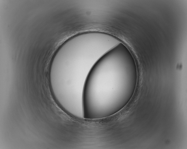 X0000111580673200907161156