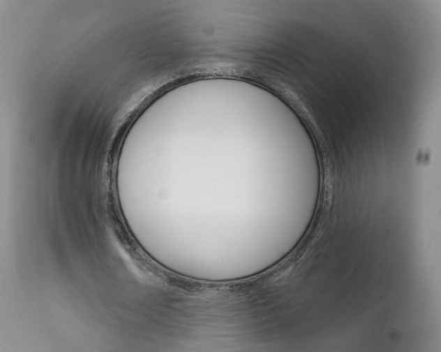 X0000111580674200907161156