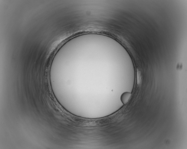 X0000111580675200907161156