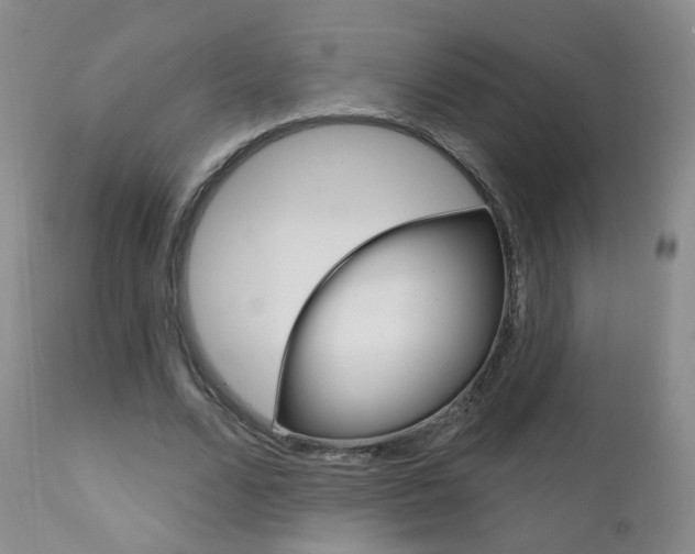 X0000111580680200907161156