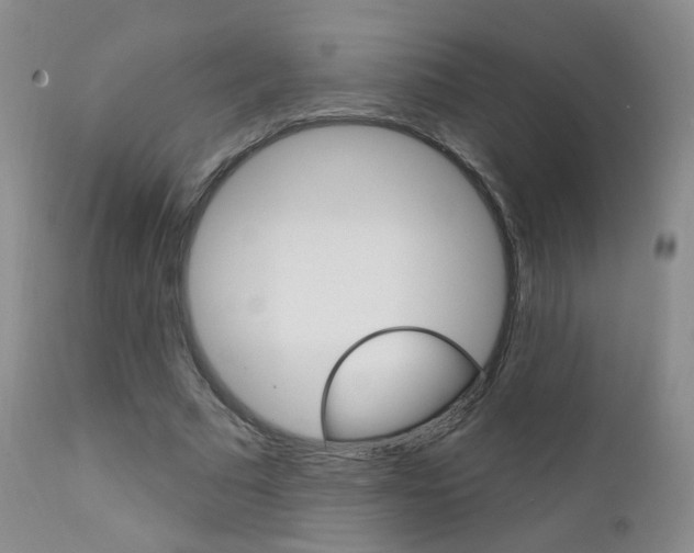 X0000111580681200907161156