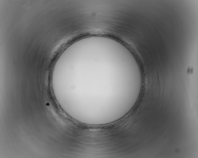 X0000111580686200907161156