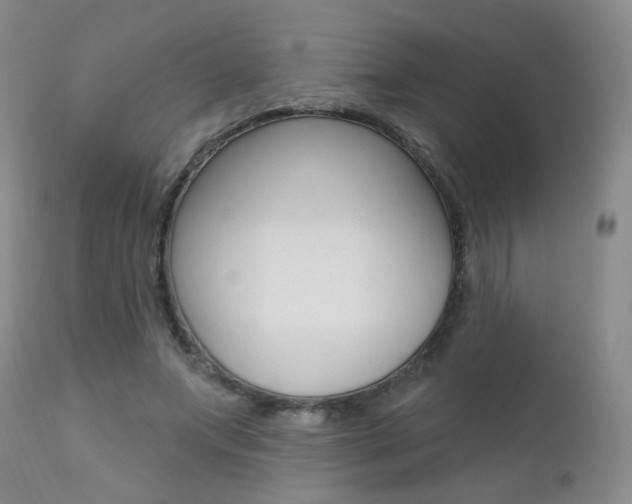 X0000111580687200907161156