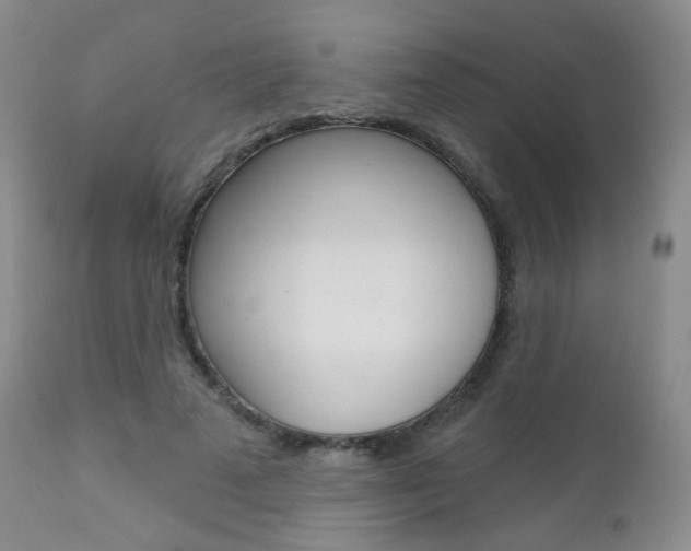 X0000111580689200907161156