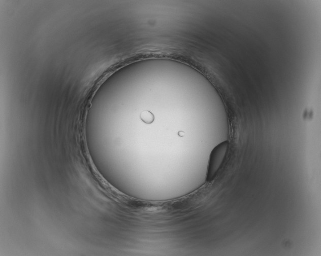 X0000111580692200907161156