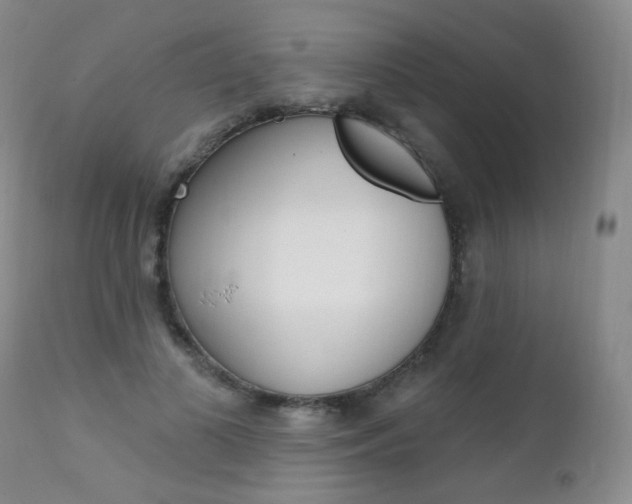 X0000111580693200907161156