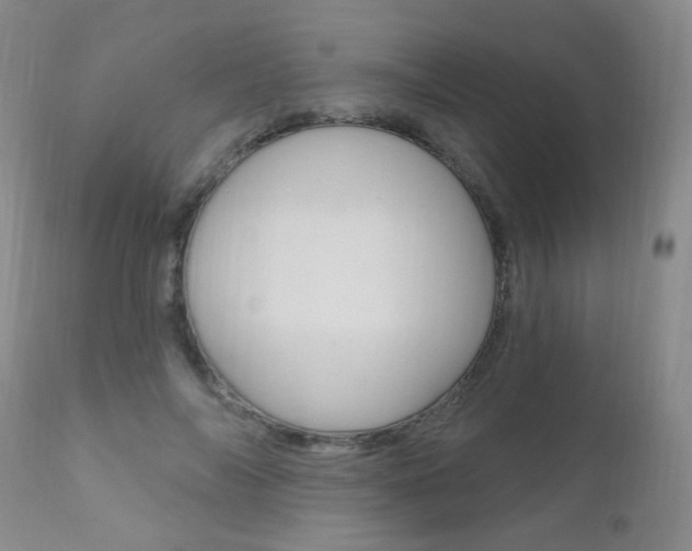 X0000111580694200907161156