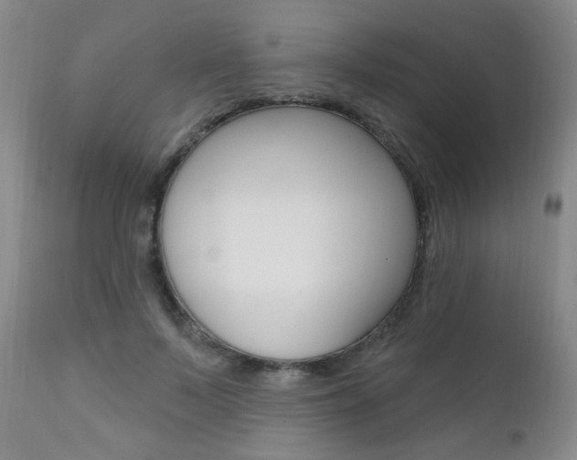 X0000111580695200907161156
