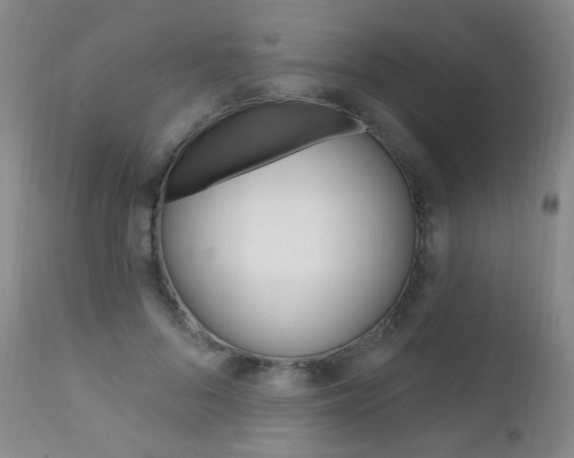 X0000111580696200907161156