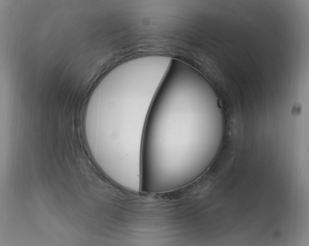 X0000111580697200907161156