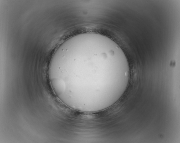 X0000111580698200907161156