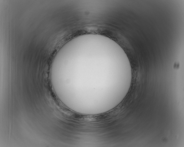 X0000111580702200907161156
