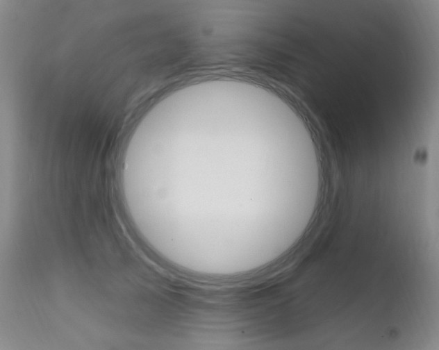 X0000111580705200907161156