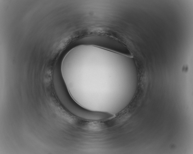 X0000111580708200907161156